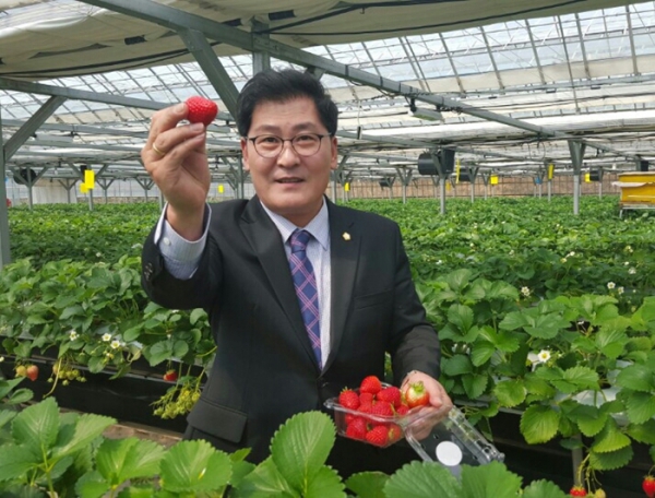 제8회 응골 딸기 축제